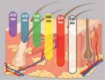 How Does Four Wavelengths Work?